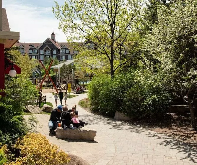 ホテル Blue Mountain Resort Inn