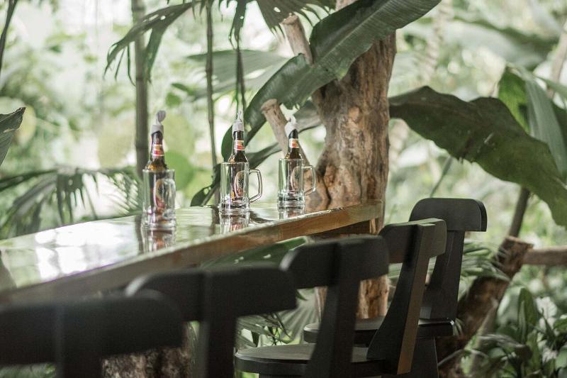 בית מלון כפרי Catarata Eco Lodge