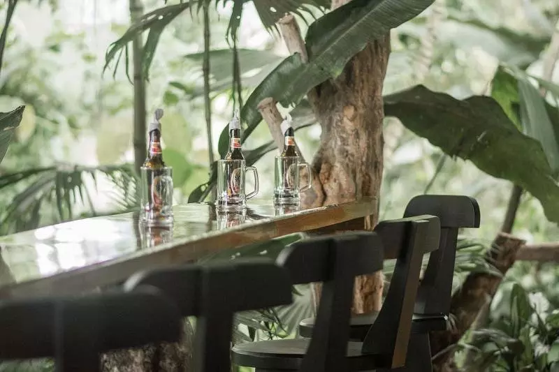 Отель Catarata Eco Lodge