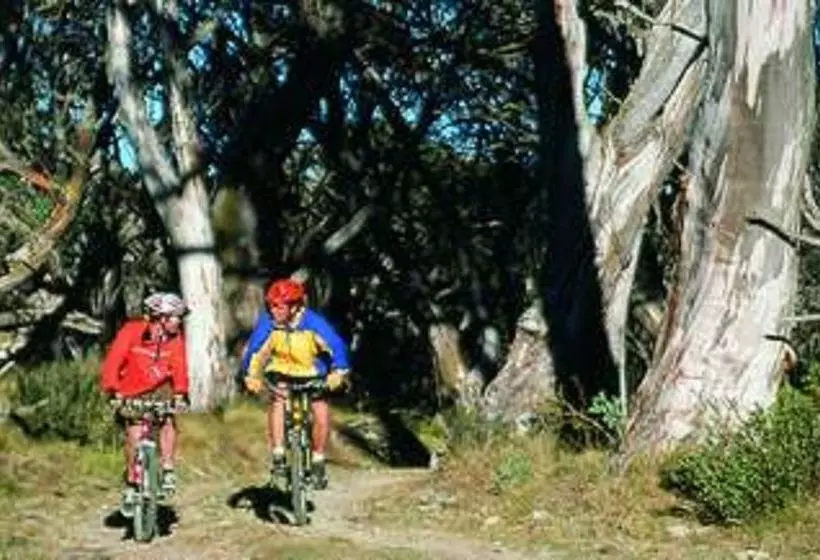 فندق Currawong Lodge