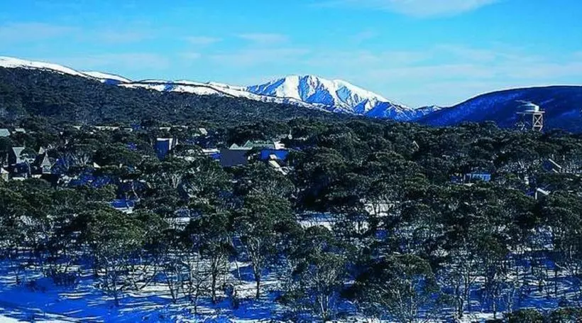 فندق Currawong Lodge