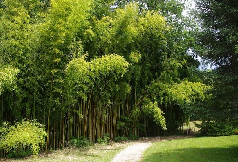 בית מלון כפרי Hostellerie Les Gorges De L Aveyron