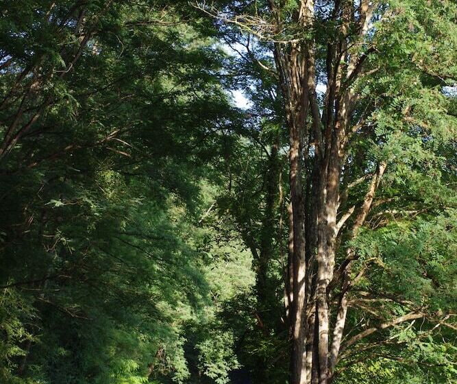 בית מלון כפרי Hostellerie Les Gorges De L Aveyron