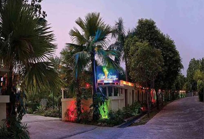 هتل Palm Spring Resort & Spa