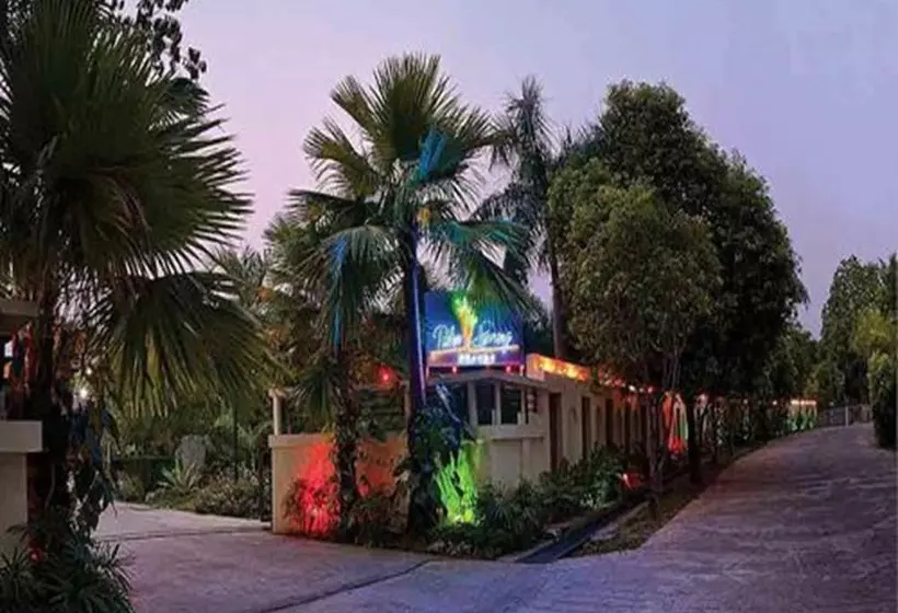 酒店 Palm Spring Resort & Spa