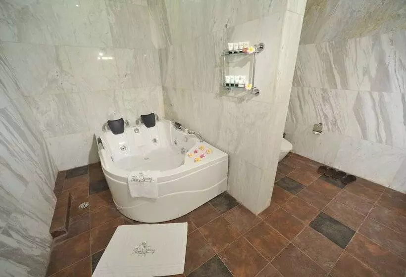 酒店 Palm Spring Resort & Spa