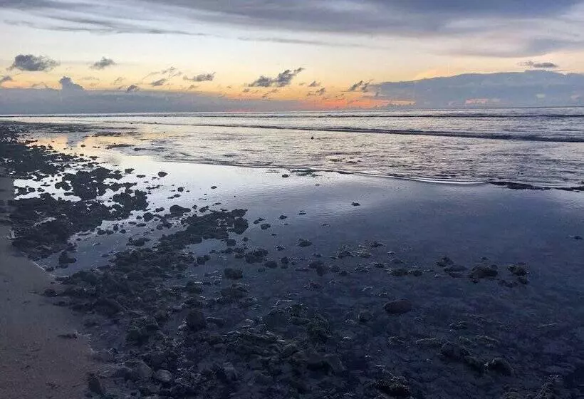 ホテル Pondok Windy Bungalows