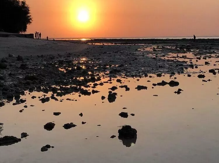 ホテル Pondok Windy Bungalows