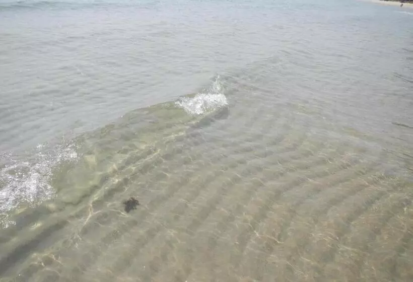 酒店 Sunshine Paradise Resort