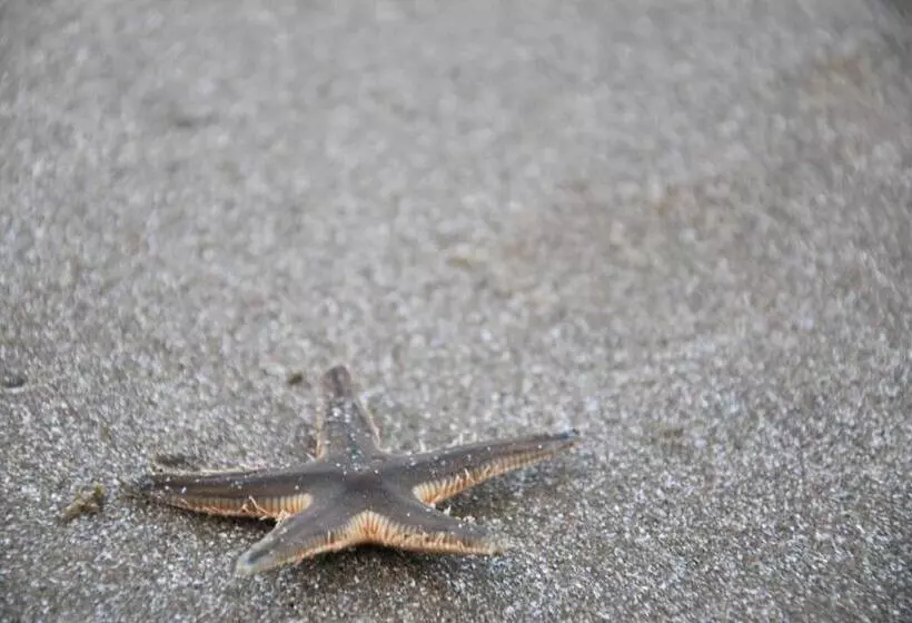 酒店 Sunshine Paradise Resort