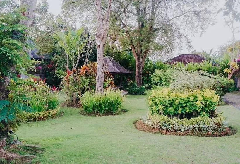 בית מלון כפרי Villa Victoria Bali