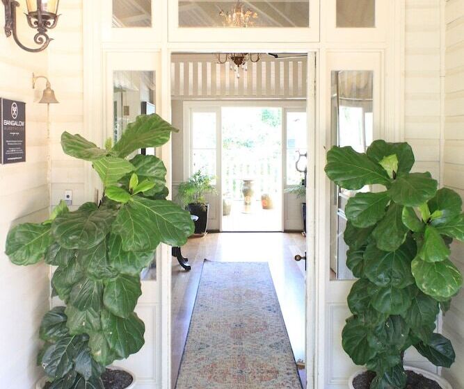 ペンション Bangalow Guesthouse