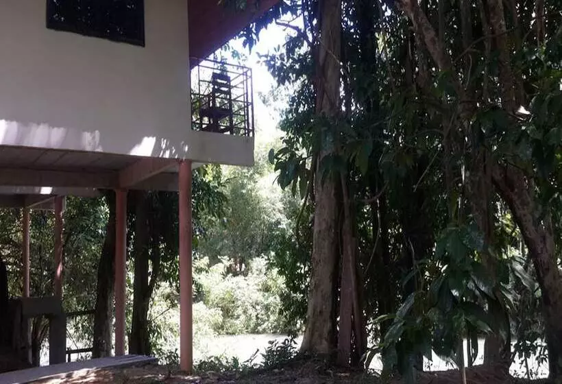 Пансион Khao Sok Jungle Huts Resort