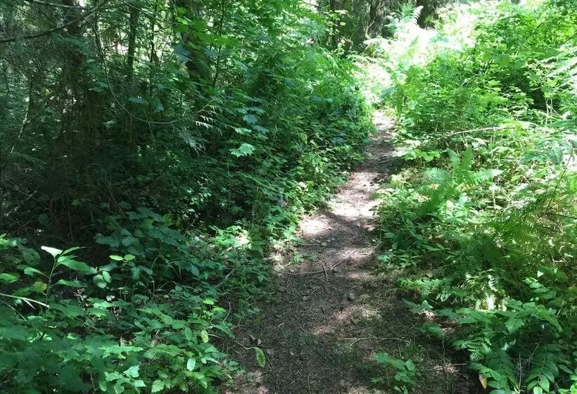 78mbr   Wood Stove   Wifi   Pets Ok   Bbq   Sleeps 6