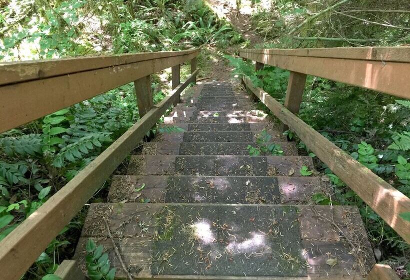 78mbr Wood Stove Wifi Pets Ok Bbq Sleeps 6