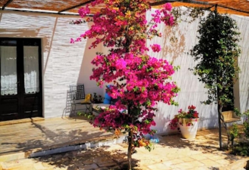 تختخواب و صبحانه Double Room In Ancient Masseria Near The Sea In A Quiet Olive Trees