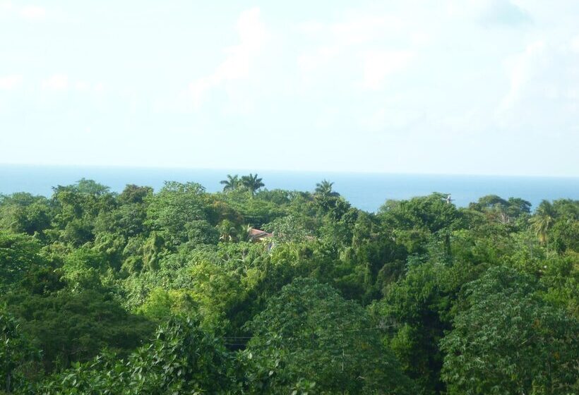 تختخواب و صبحانه East Bay Villas