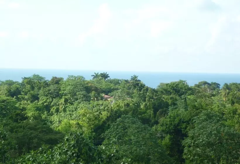 تختخواب و صبحانه East Bay Villas