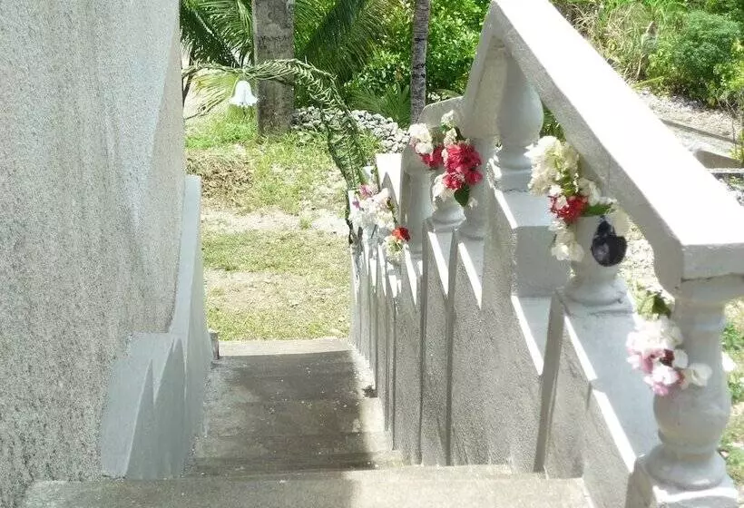 تختخواب و صبحانه East Bay Villas