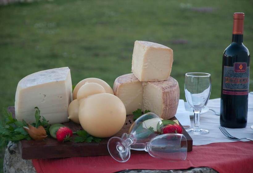 בית מלון כפרי Agriturismo Il Megalite