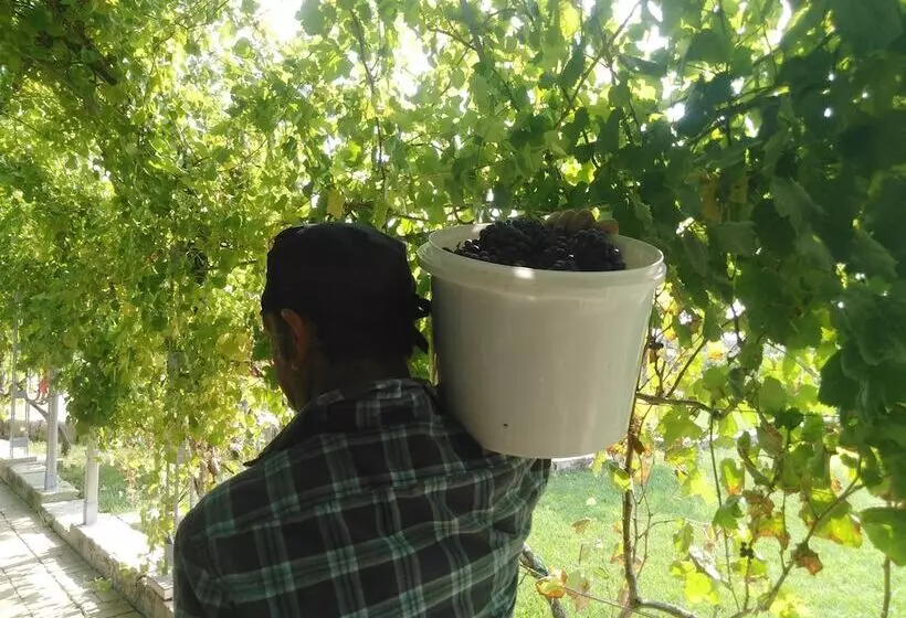 فندق Agriturismo Il Megalite