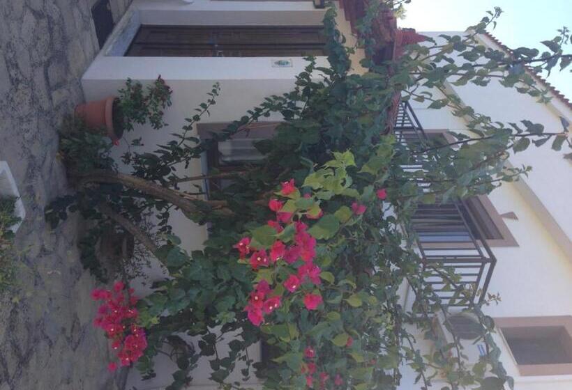 فندق Alekos Rooms And Apartments