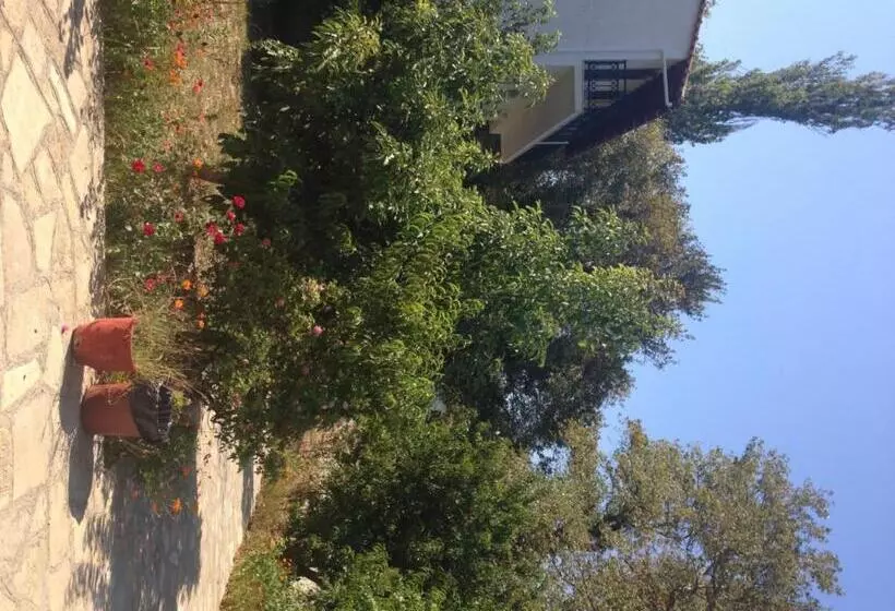 בית מלון כפרי Alekos Rooms And Apartments