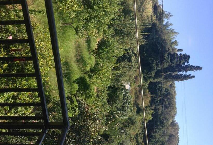 فندق Alekos Rooms And Apartments