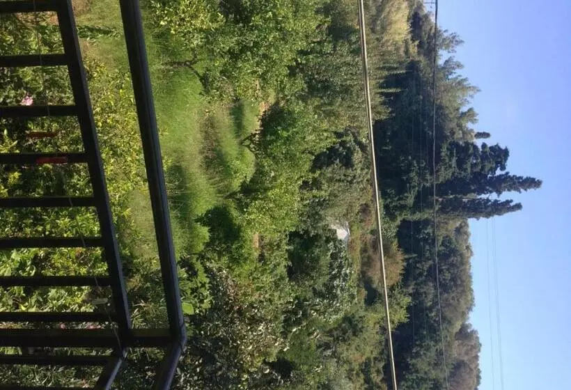 בית מלון כפרי Alekos Rooms And Apartments