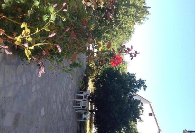 فندق Alekos Rooms And Apartments