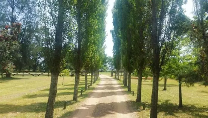 فندق Chacra Bereshit