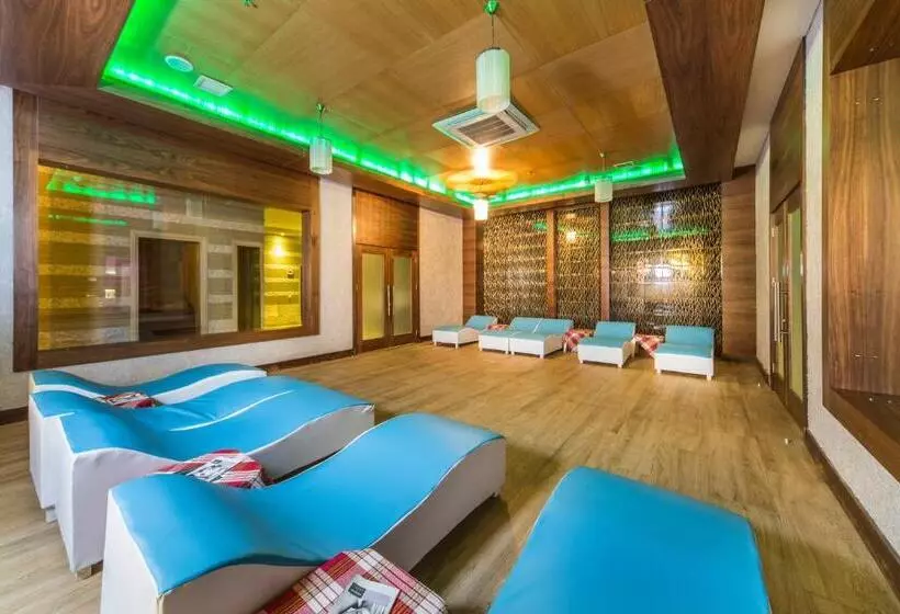 Hotel Dizalya Palm Garden   All Inclusive