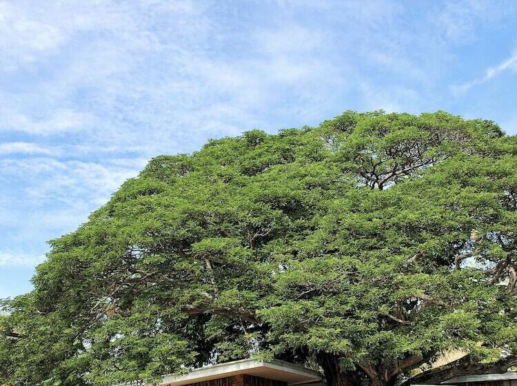 Отель Dormitels.ph Bohol