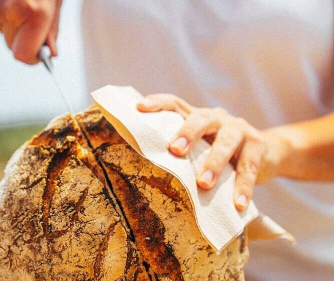 Отель Eumelia Organic Agrotourism Farm