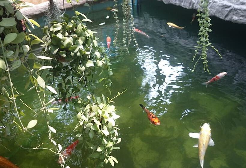 First And Frang Hotel Koh Phangan