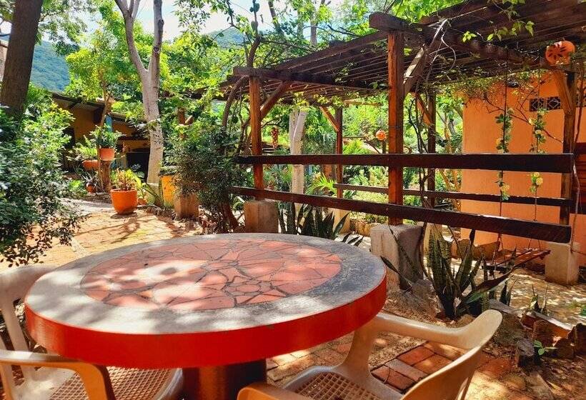 호텔 Hostal La Casa De Felipe