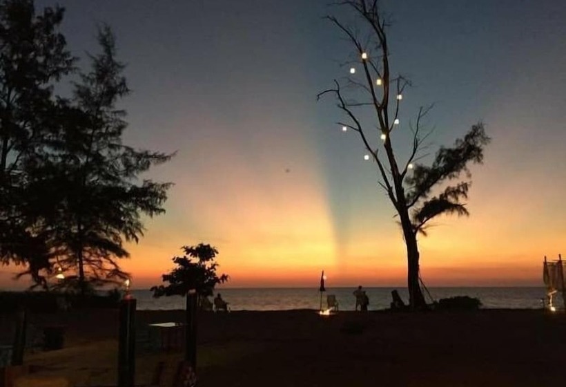 Micky Monkey Beach Hotel Phuket Maikhao Thailand