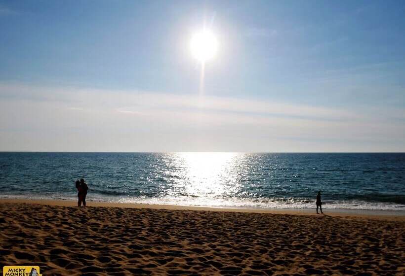 Micky Monkey Beach Hotel Phuket Maikhao Thailand