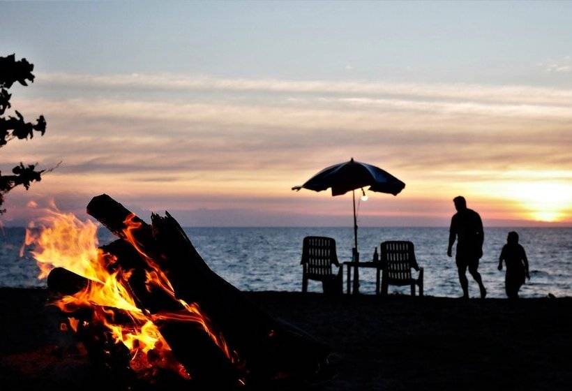 Micky Monkey Beach Hotel Phuket Maikhao Thailand