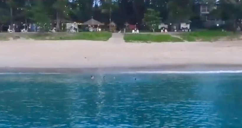 Micky Monkey Beach Hotel Phuket Maikhao Thailand