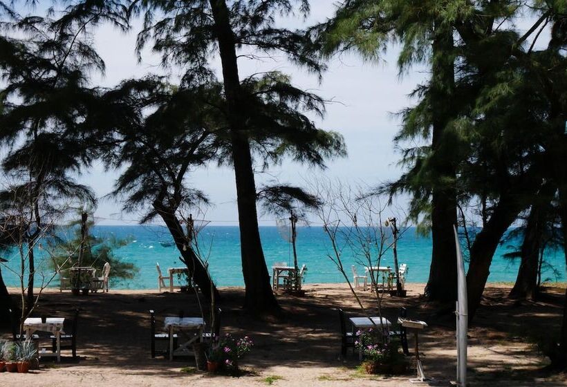 Micky Monkey Beach Hotel Phuket Maikhao Thailand