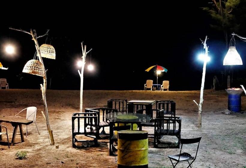 Micky Monkey Beach Hotel Phuket Maikhao Thailand