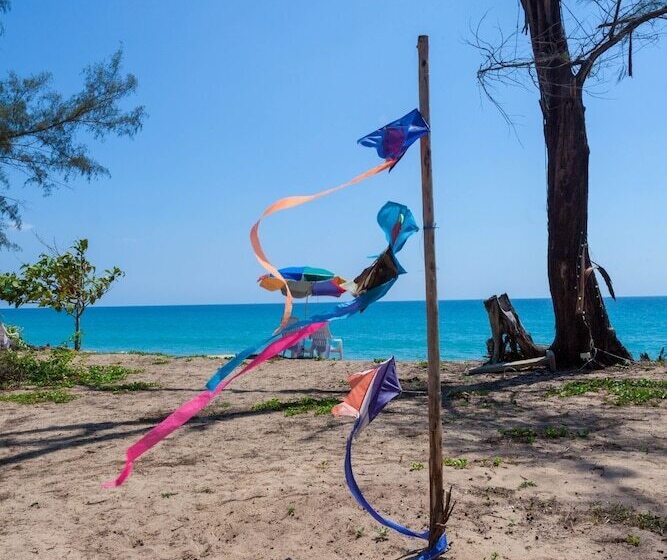 Micky Monkey Beach Hotel Phuket Maikhao Thailand