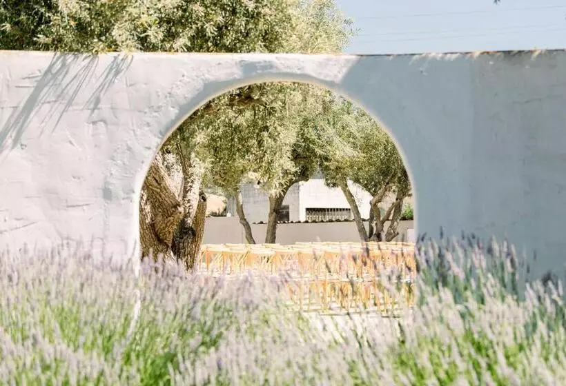 汽车旅馆 Hacienda De Leal Bw Signature Collection