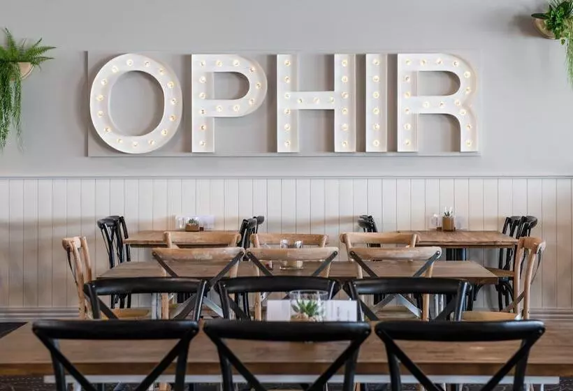 汽车旅馆  The Ophir