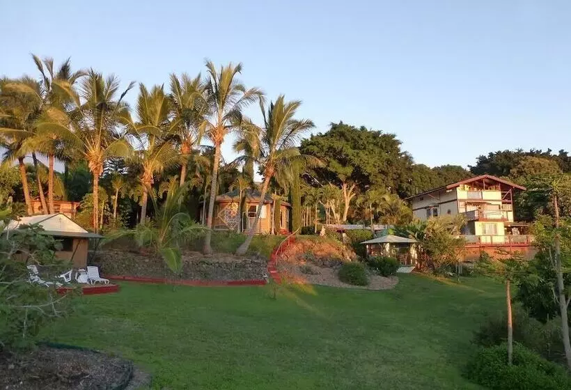 Pensionat Banyan Tree Sanctuary