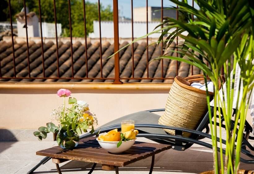 호텔 Petit Palau Alcudia   Adults Only