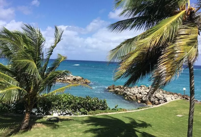 Sea Palms Holidays