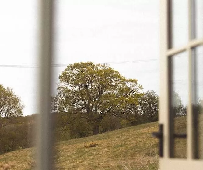 Dog Friendly Shepherd S Hut, Perfect For Couples