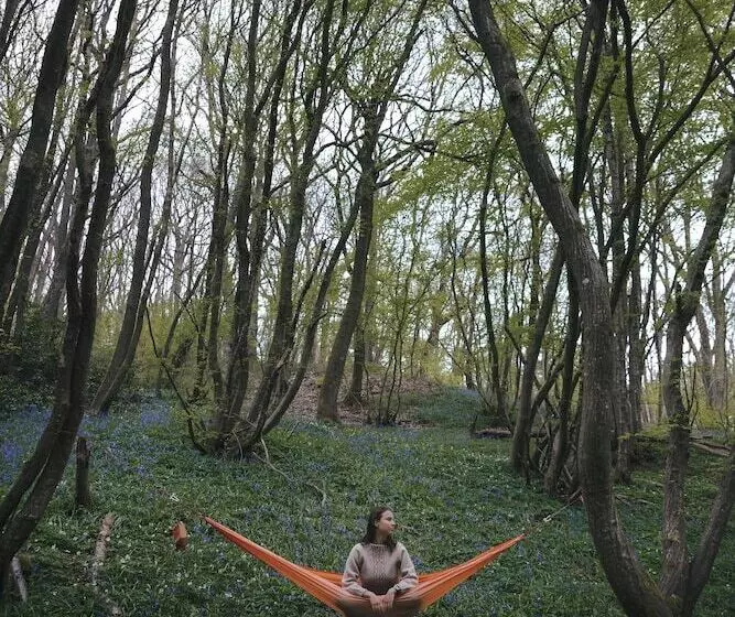 Dog Friendly Shepherd S Hut, Perfect For Couples
